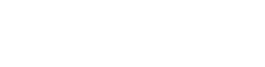 CCSTIB